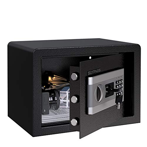 The 5 Best Home Safes (2022 Review)