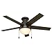 Hunter 59268 Anslee Indoor Low Profile Ceiling Fan with LED Light and Pull Chain Control, 46