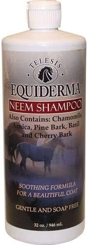 Telesis Animal Health Equiderma Sulfate Free Neem & Arnica Shampoo, 32-Ounces, For Horses