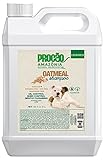 PROCÃO: Oatmeal Pet Shampoo (1 Gallon) - Sensitive Skin Care - Soothing for Itchy Skin - Sustainably Sourced from Amazon Rainforest - No Parabens or Dyes - Oil and Shed Control - Tearless