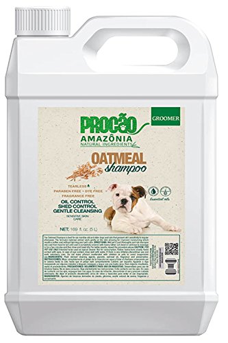 PROCÃO: Oatmeal Pet Shampoo (1 Gallon) - Sensitive Skin Care - Soothing for Itchy Skin - Sustainably Sourced from Amazon Rainforest - No Parabens or Dyes - Oil and Shed Control - Tearless