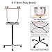 PETSJOY Bird Perch Stand Stainless Steel Parrot Training Perch Stand with Feeding Bowls & Potty Tray & Wheels, Large Parrot Play Stand, Height 51″ Inchthumb 1