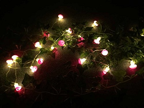 Sunniemart 20 LED Warm White String Light Battery Operated Mushroom Fairy Lights for Christmas, Wedding, Party Decoration