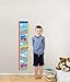 Wall Pops WPG0622 Transportation Growth Chart Wall Decals, 9.75-inch by 48-inch