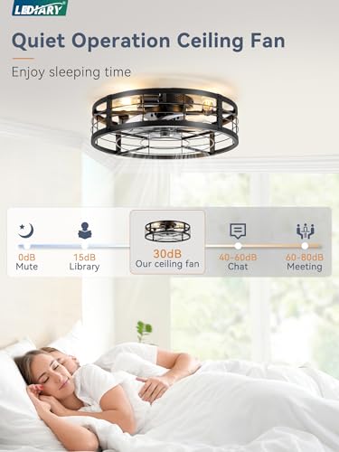 LEDIARY 20" Caged Ceiling Fan with Light and Remote, Low Profile Flush Mount Fandelier, Black Bladeless Enclosed Small Fan Lights Ceiling Fixtures, Rustic Farmhouse Style for Bedroom, Outdoor