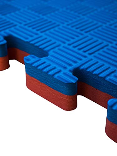 JOWY-Esterilla-Goma-Espuma-Estructura-Tatami-Puzzle-20mm-Suelo-para-Gimnasio-5-lneas-Ideal-Artes-Marciales-Judo-Suelo-Tatami-Japons-1m-x-1m-x-2cm-Color-Rojo-y-Azul