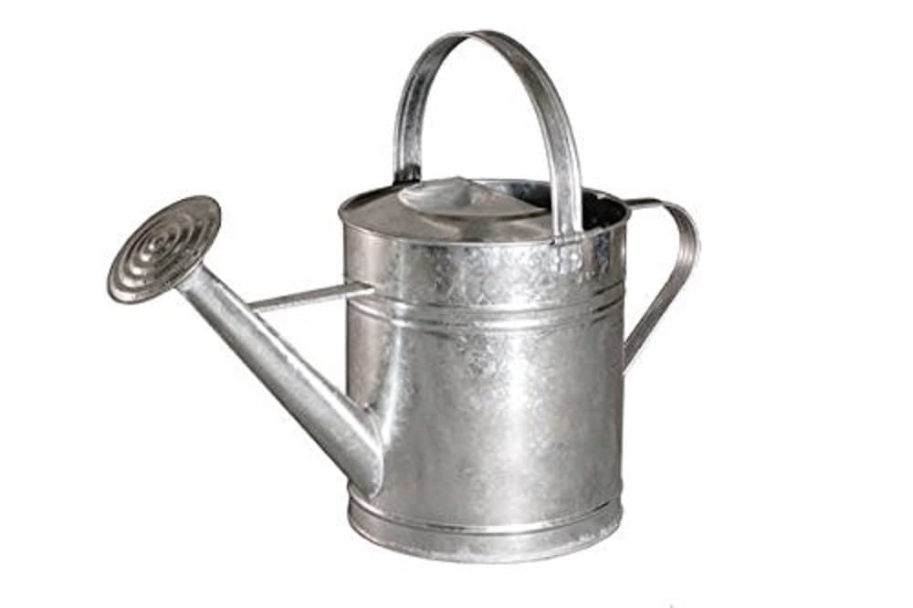 GARDEN FRIEND Galvanised Watering Can 9 Litres.