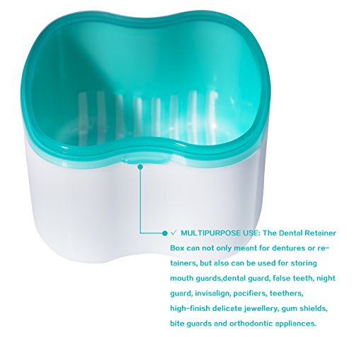 image for Mint Rose Denture Case,Denture Brush Retainer Case,Denture Cups Bath,D
