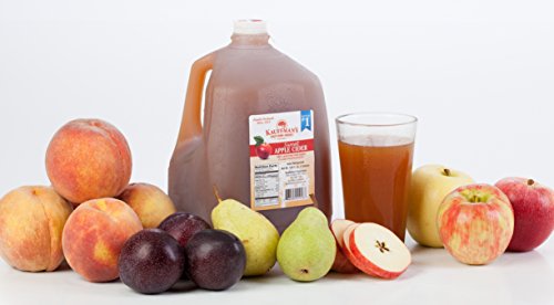 Kauffman's Homemade Fresh Apple Cider, Frozen for Shipping, Appr. 0.9 Gallon (Pack of 2) - Thumbnail 3
