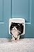 PetSafe Exterior/Interior Cat Door: 4-Way Locking Pet Door Flap - Tinted Privacy Door for Outdoor or Indoor Use - Weatherproof, Durable Door Frame - DIY Easy Install with Hardware Kit Included