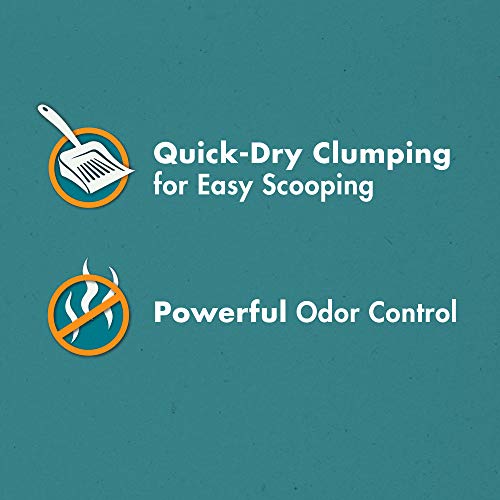 PURINA Yesterday's News Clumping Paper Lightweight Cat Litter, Clean