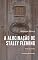Livro A Alucinação de Staley Fleming