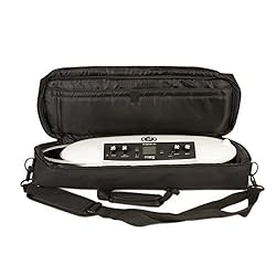 Moog Theremini Bundle with Gig