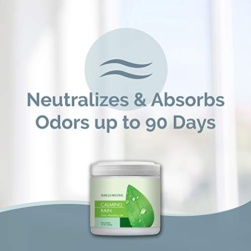 SMELLS BEGONE Air Freshener Odor Absorber Gel Absorbs Odor from