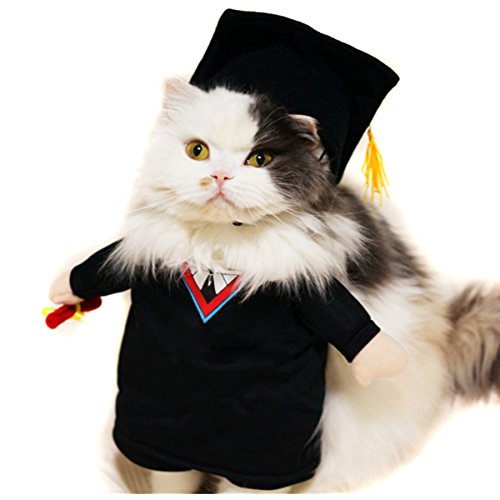 Alfie Pet by Petoga Couture - Kade the Graduate for Party Halloween Special Events Costume