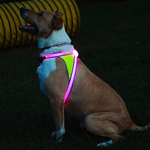 Noxgear LightHound Multicolor LED Illuminated, Reflective Dog Harness