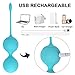 Kegel Exercise Weights with Face Cleaner Design Controller, Silicone Ben Wa Kegel Balls Weighted Kit for Women Beginners & Advanced, Doctor Recommended for Bladder Control & Pelvic Floor Exercises