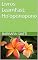 Livro Livros LearnFast: Ho'oponopono (LearnFast Books: Português Livro 31)