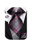 Hi-Tie Black and Red Plaid Tie for Men Silk