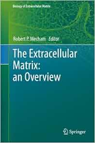 The Extracellular Matrix An Overview Biology Of Extracellular Matrix The Extracellular Matrix An Overview Biology Of Extracellular Matrix