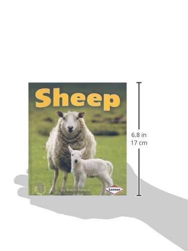 Sheep (First Step Nonfiction _ Farm Animals)