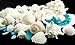Nautical Crush Trading Sea Shells - White Real Mixed Beach Seashells (1lb) with Sea Glass Chips - Shells for Crafts - Ocean Decor - Beach Party Decorations - Seashell Decor - Large Shells Crafts
