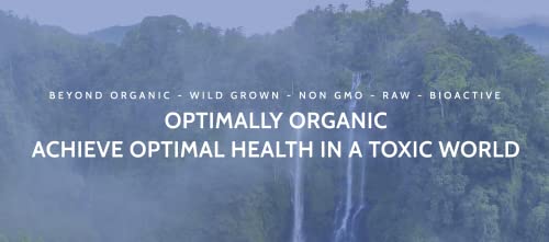 Optimally Organic Red Pine Needle Oil Caps - Health Supplement for Extreme Immune System Support - Vital Cell & DNA Support - #1 Vegan Body Cleanse for Foreign Invadors - Pinus densiflora - BioActive