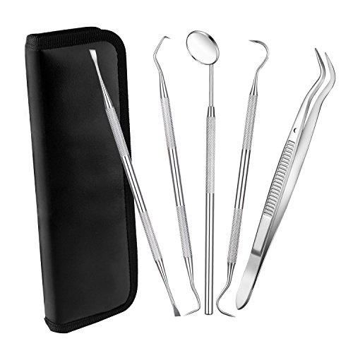 Dental Hygiene Tool Set Oral Care Tools Stainless Steel Dentist Tools