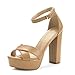 DREAM PAIRS Women's Hi-Go High Heel Platform Pump Sandals