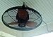 Allen + Roth 20-in Valdosta Dark Oil Rubbed Bronze Outdoor Ceiling Fan