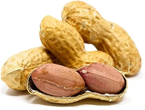 Bird Peanuts Shell Sky Ecommerce Crazy Nuts | USA Grown Whole in Shell Raw Peanuts for ...
