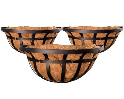 Set of 3 Panacea 88554 Flat Iron Series Wall Planters, 16″ L