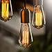 Vintage Edison Light Bulbs (60 Watt) | 6 Piece Incandescent Light Fixture For Home Office Lighting by SCANDIC GEAR