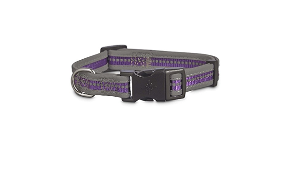 good2go reflective collar