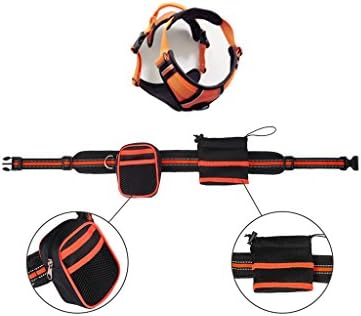 PAWOAH Dog Harness Pet Vest with Handle Dog Leash Bungee for Running/Hiking/Walking/Jogging with Adjustable Waist Belt with Bottle Holder Waist Bag for Small Medium Large Dogs (Medium, orange)