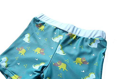Baby Toddler Boys Two Pieces Swimsuit Set Swimwear Dinosaur Bathing Suit Rash Guards with Hat UPF 50+ (Lake Blue, 9-18 Months(Height:29"-33"/73-85cm))