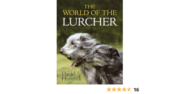 hancock lurchers rescue