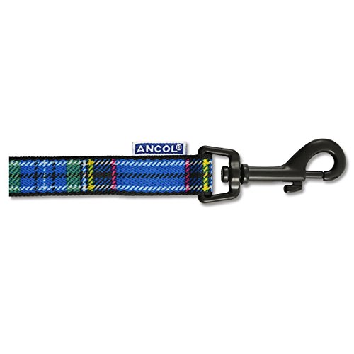 Ancol Nylon Lead Tartan Blue 1.2m X19mm Sz 1-9