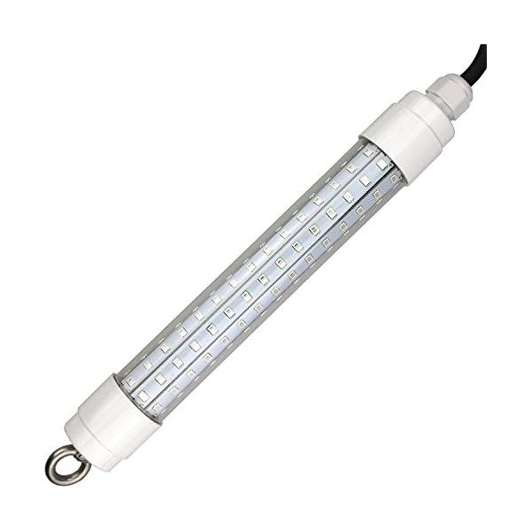 Lightingsky-12V24V-900-Lumens-Led-Submersible-Fishing-Light-Deep-Drop-Underwater-Lamp-with-17ft-cord-for-Boat-Fishing