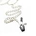 Chip Clips Stainless Steel Clips Large for Kitchen Food Bread Snack Cereal Bags Documents Potato (1) Silver