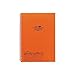 LIHIT LAB. Refillable Notebook (Journal), Lined Paper, 9.9 x 7.3 inches, Orange (N1608-4)