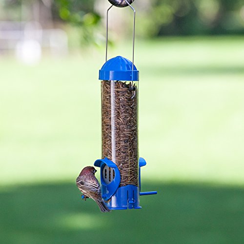 Perky Pet Mealworm Bird Feeder Buy Online See Prices