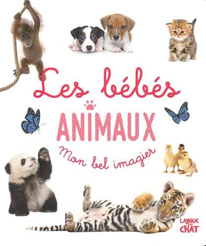 Mon Bel Imagier Les Bebes Animaux Mon Bel Imagier Photos French Edition Collectif Amazon Com Books