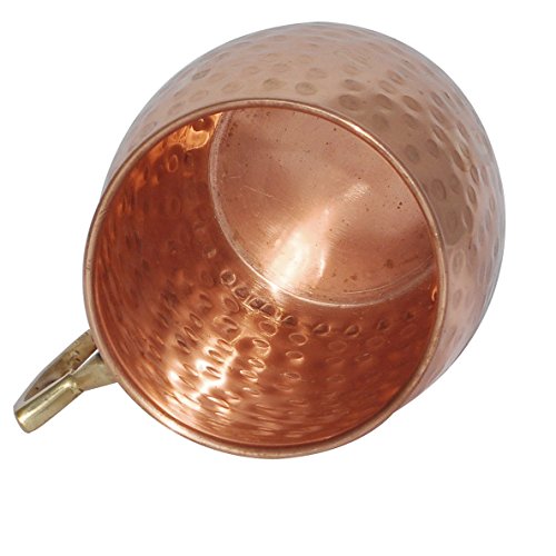 Raajsee Moscow Mule 18 ounce Pure Copper Mugs Set of 2 Solid Hammered Design Gift Set