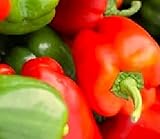 100 California Wonder Bell Pepper Seeds | Non-GMO