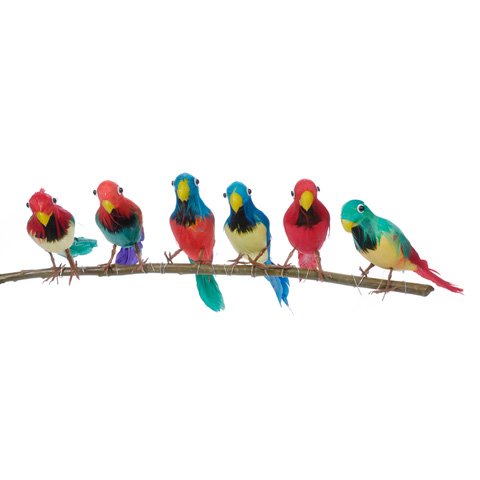 Package of 6 bright color tropical 6" feathered ar…