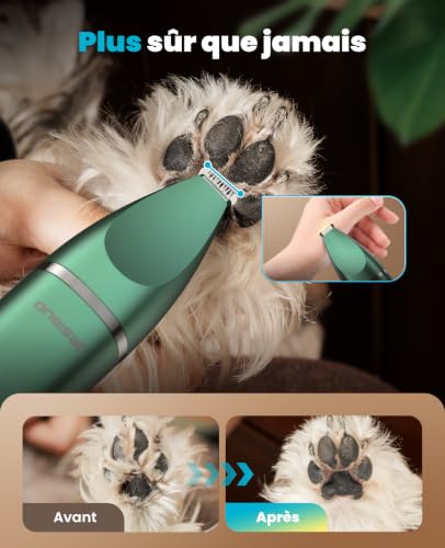 oneisall 4 in 1 Professional Dog Clipper, Silent Dog Clipper <49db, Cordless Dog Paws Clipper Paws Body Eyes Ears Face (Silver) (Green)