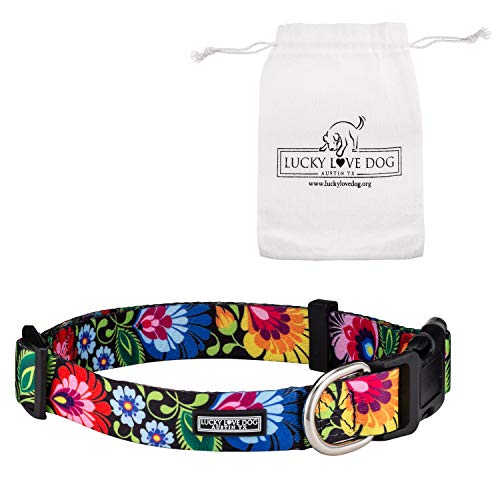 Lucky Love Dog Collars | Vivid Floral Dog Collar – Girl Dog Collar for Small Medium Large Dogs – Blackbird, Large