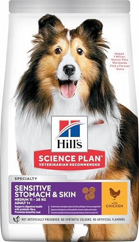 4 health wet dog food Merrick Grain Free Puppy Plate Beef Recipe Canned Puppy Food main image 1