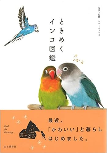 ときめくインコ図鑑 ときめく図鑑 おぴ とうもと おぴ とうもと 本 通販 Amazon ときめくインコ図鑑 ときめく図鑑 おぴ とうもと おぴ とうもと 本 通販 Amazon